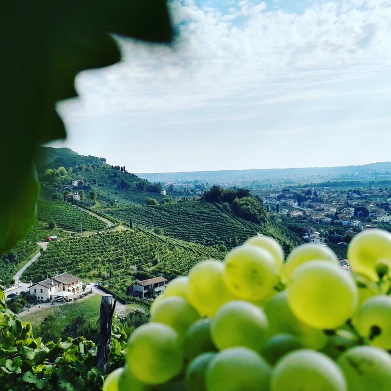 Agriturismo Al Credazzo Farra di Soligo Bagian luar foto